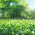 瞎扯 · 如何正确地吐槽