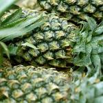 有哪些化学专业反直觉的知识？