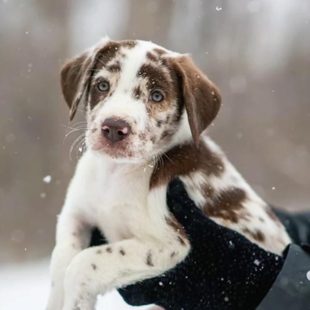 瞎扯 · 如何正确地吐槽