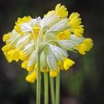 历史上有哪些如神一般存在的人物？