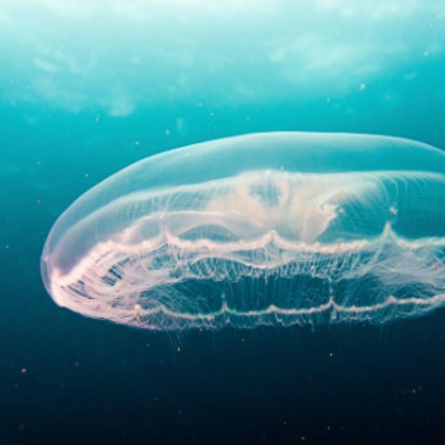 星期为什么叫星期？是谁起的名字？