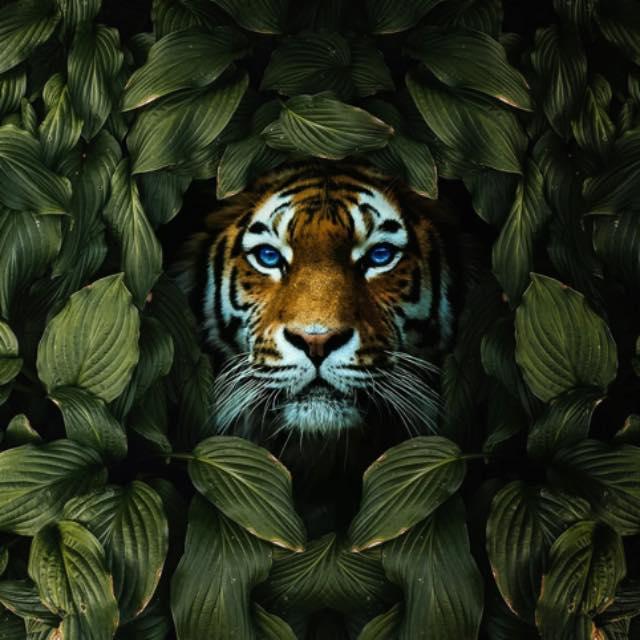 为什么现在不创造新的汉字了？