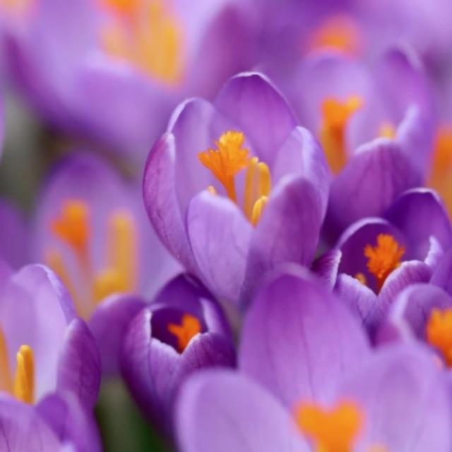 瞎扯 · 如何正确地吐槽