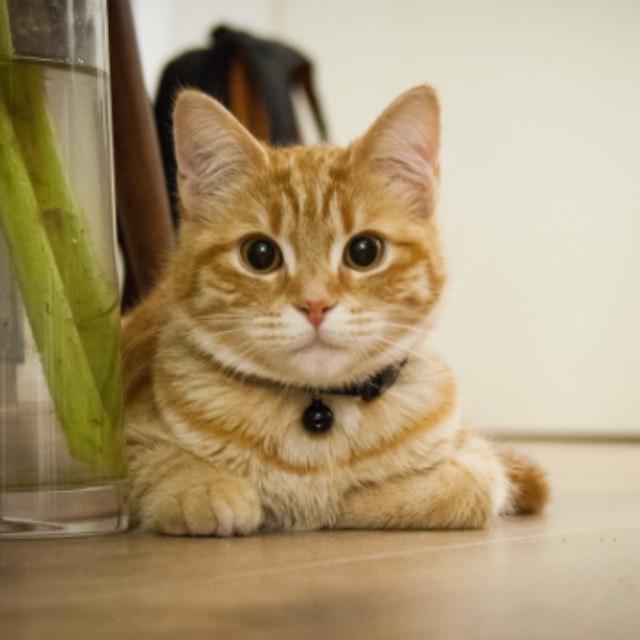 瞎扯 · 如何正确地吐槽