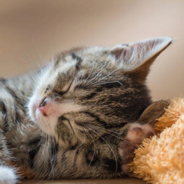 既然是自然选择，为什么动植物们没因为进化变得非常难吃？