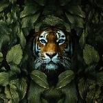 为什么现在不创造新的汉字了？