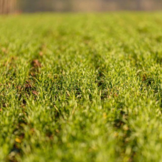 京奉/北宁铁路新河站（现塘沽站）站址考