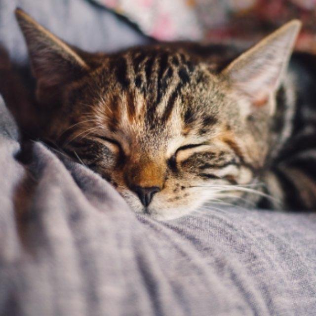 瞎扯 · 如何正确地吐槽