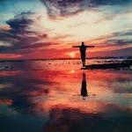 为什么地球上攻击力弱小的人类获得了智慧，而其它更强或繁殖更快的生物却没有？