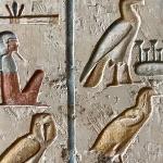 意外发现史记和族谱上的记载相悖，应该相信谁？