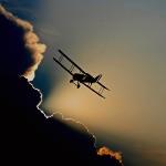 有哪些「大众默认专家搞懂了，实际上没人能解释清楚」的例子？