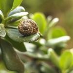 小事 · 植物养了很久是什么体验？