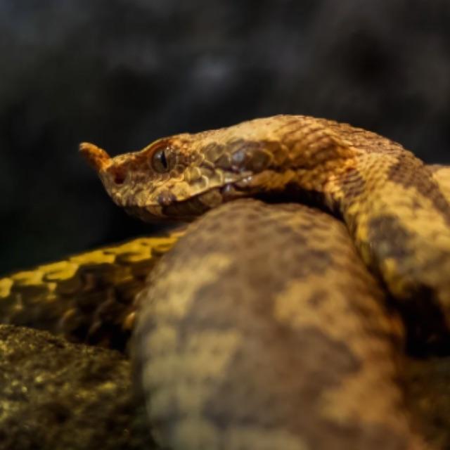 瞎扯 · 如何正确地吐槽