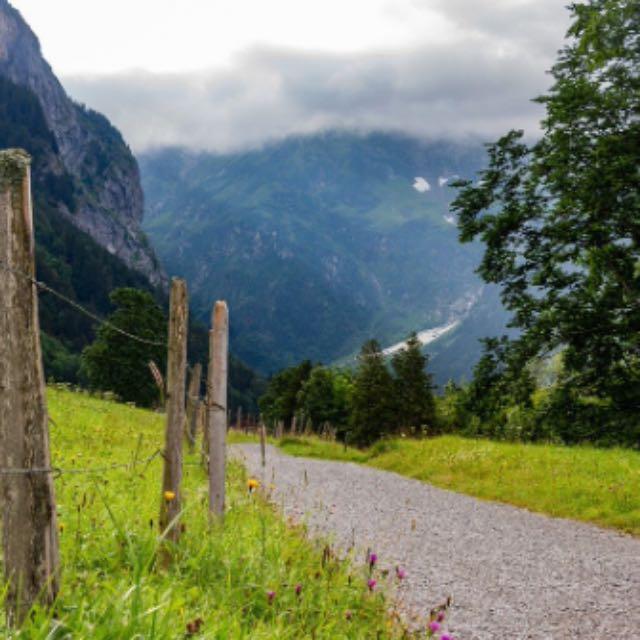 是什么因素促使维京人移民到英国和法国?