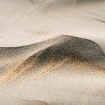 有哪些生物学上的事实，没有一定生物学知识的人不会相信？