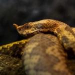 瞎扯 · 如何正确地吐槽