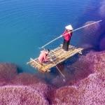 有哪些历史上有名的文物流传至今？