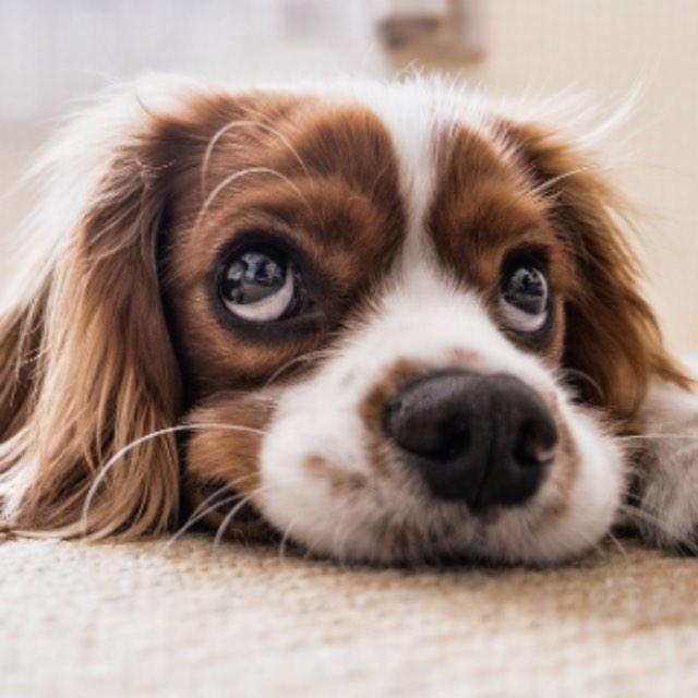 瞎扯 · 如何正确地吐槽