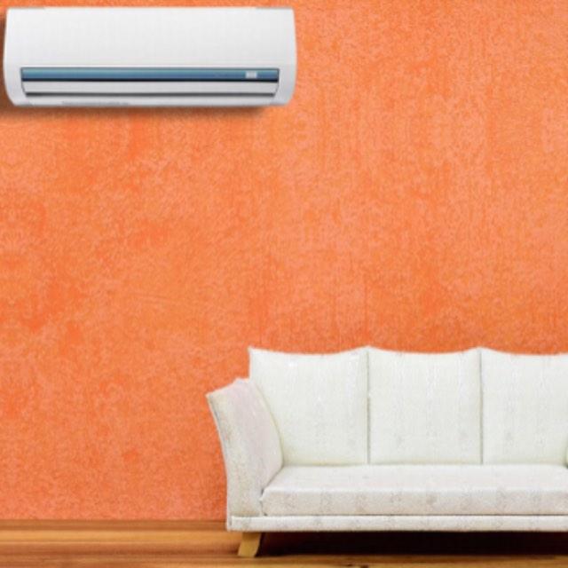 为什么空调房里没蚊子？