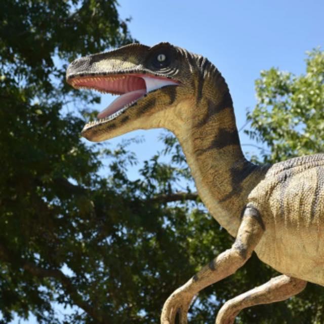 瞎扯 · 如何正确地吐槽