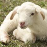 瞎扯 · 如何正确地吐槽