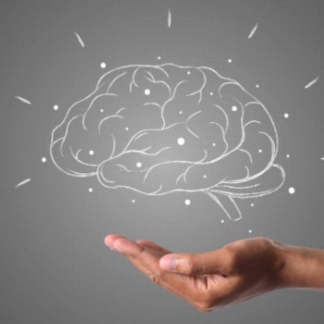 有什么关于大脑的冷知识？