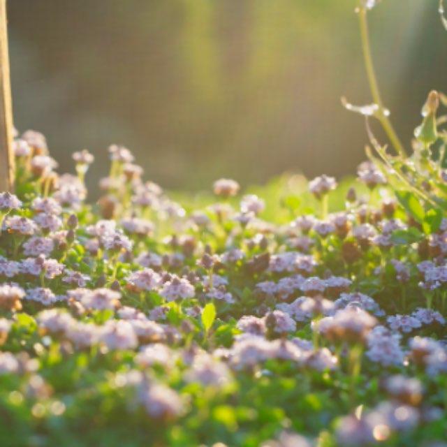 瞎扯 · 如何正确地吐槽