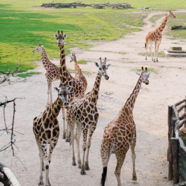 瞎扯 · 如何正确地吐槽