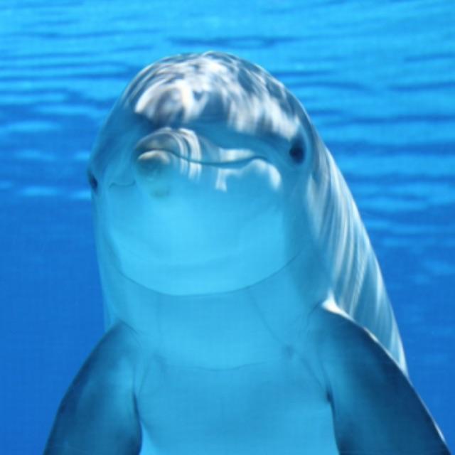 二叠纪末大灭绝：沉寂的海洋