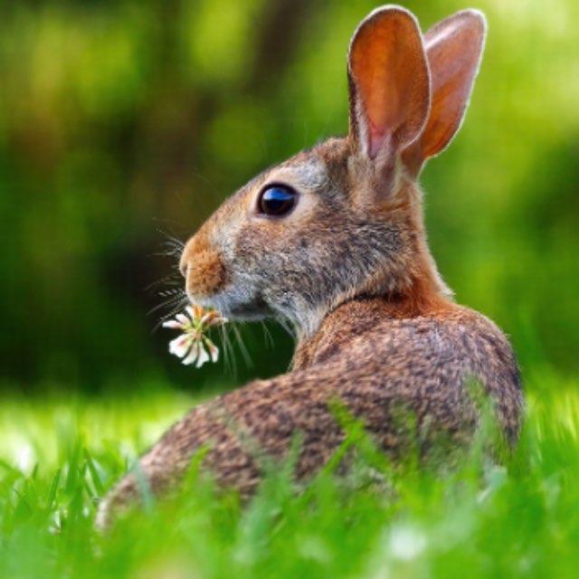 瞎扯 · 如何正确地吐槽