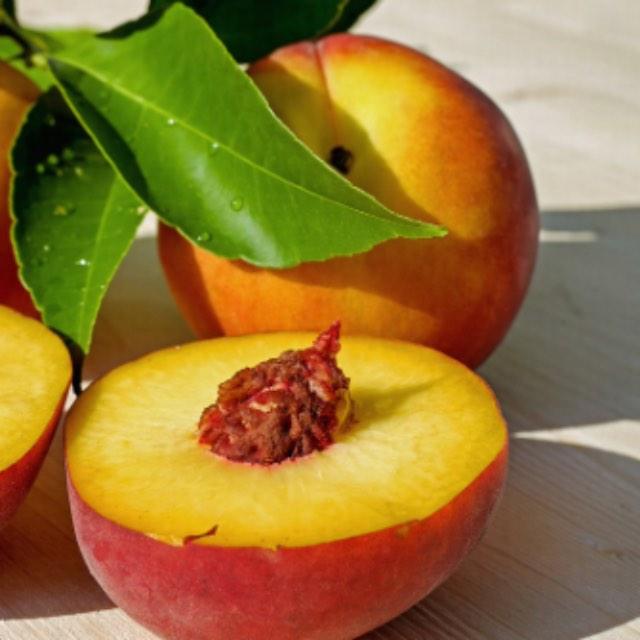 瞎扯 · 如何正确地吐槽