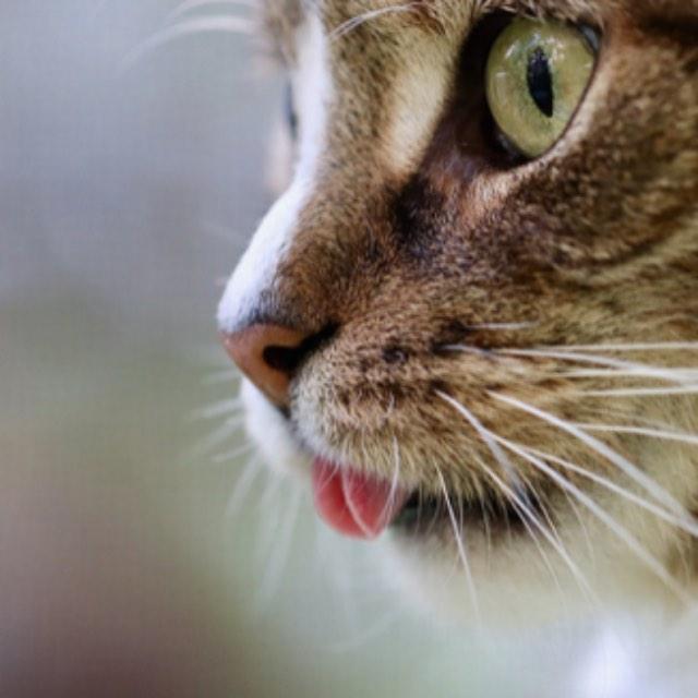 瞎扯 · 如何正确地吐槽