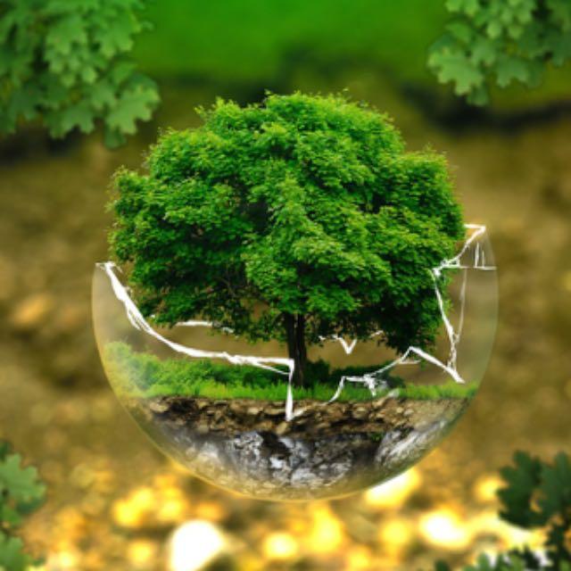 假如人类突然从地球上消失几百年,地球会发生什么?