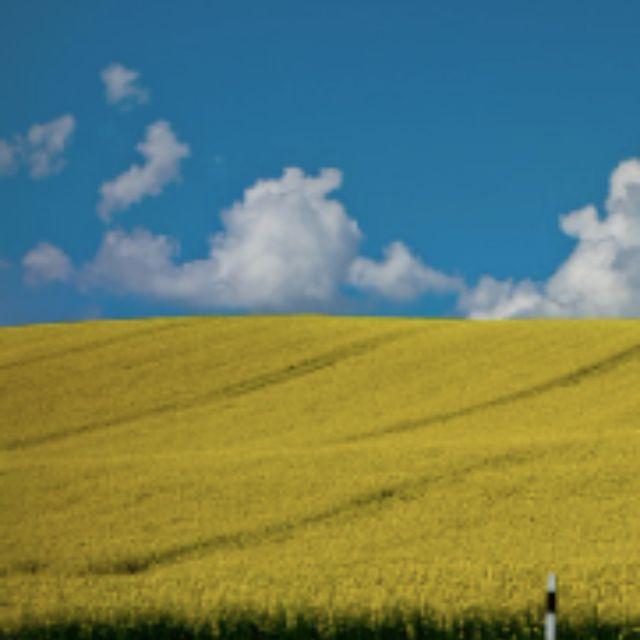 古人一天真的只吃两顿吗?还要参与劳作,不会感到饥饿吗?