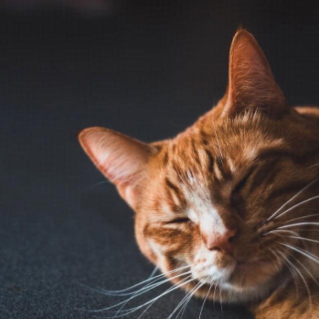 瞎扯 · 如何正确地吐槽