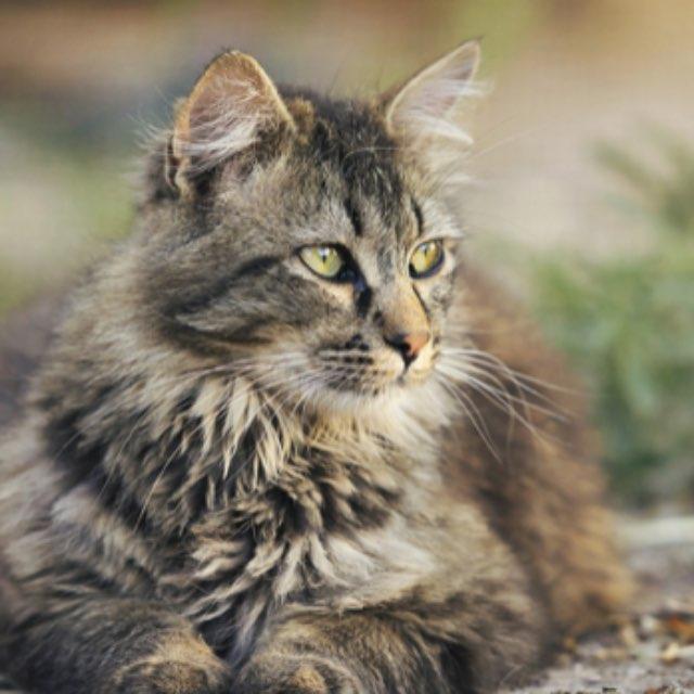 瞎扯 · 如何正确地吐槽