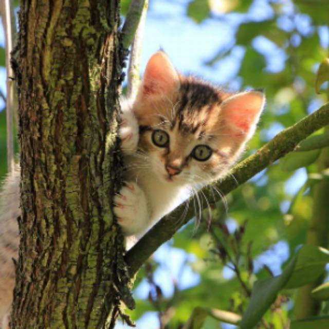 瞎扯 · 如何正确地吐槽