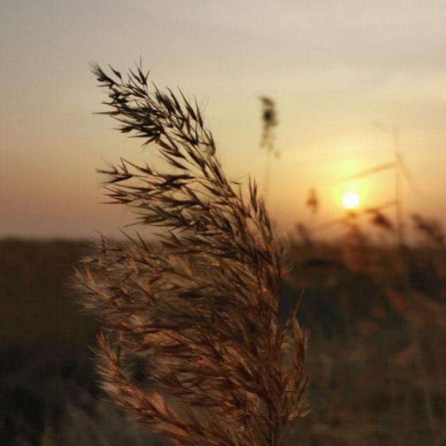 河南山东安徽面临旱情，北方多地午后地表温度或超 70℃，目前干旱情况怎么样？有哪些应对方式？