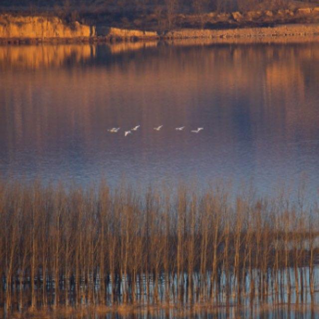 黄河既然无法通航，为什么不能分段截流改道不让其入海，将全部水资源用于西北内陆灌溉？
