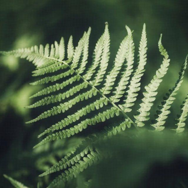 驻波，竟然还可以这么好看！