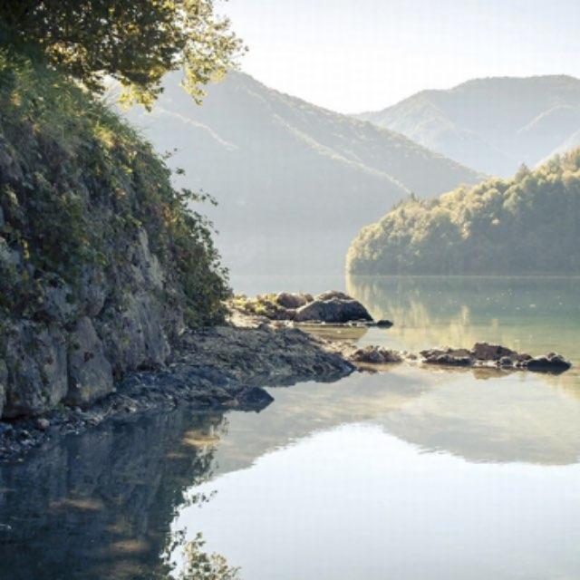 鸿门宴中，项羽赐樊哙生猪腿的用意何在？为什么项羽只说「赐之彘肩」，手下就知道赐「生」猪腿？