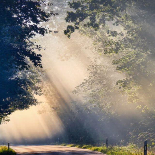 追踪光的「记忆」