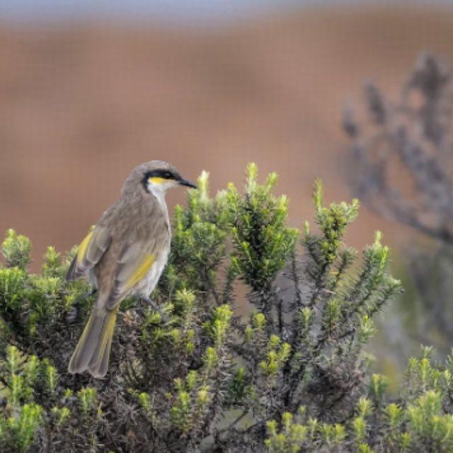 不用三角函数和积分可以写出 π 的表达式吗？