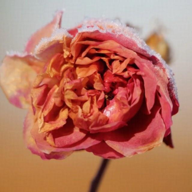 瞎扯 · 如何正确地吐槽