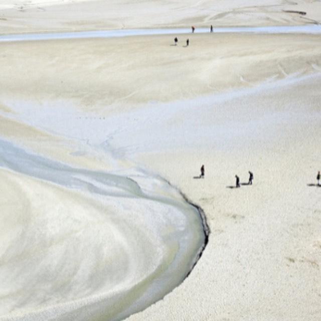 有哪些生物学上的事实，没有一定生物学知识的人不会相信？