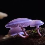 瞎扯 · 如何正确地吐槽