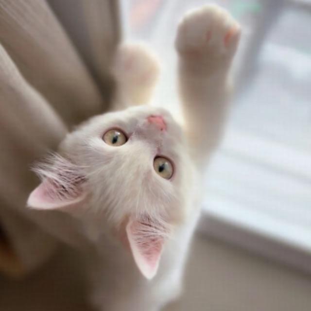 瞎扯 · 如何正确地吐槽