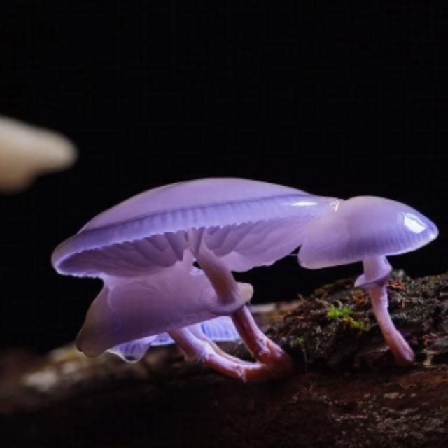 瞎扯 · 如何正确地吐槽