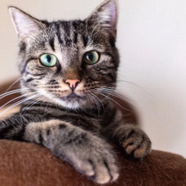 瞎扯 · 如何正确地吐槽