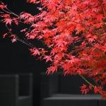 我作的这首诗是否超越了李白？